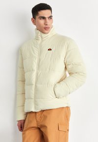 Зимняя куртка Зимняя куртка