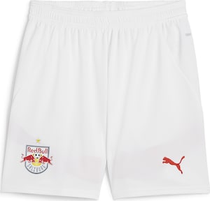 Спортивные штаны "Fc Red Bull Salzburg 24/25"