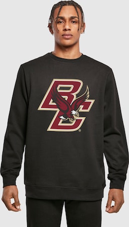 Толстовка "Boston College - Eagles"