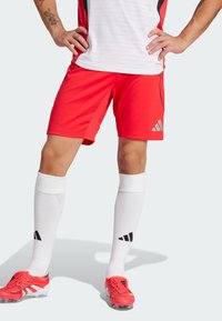 Шорты Шорты