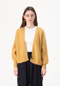 Жилет Жилет