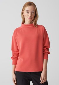 Толстовка Толстовка