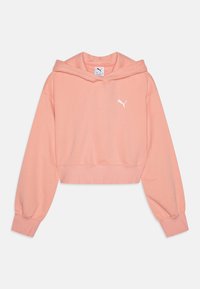 Толстовка Толстовка