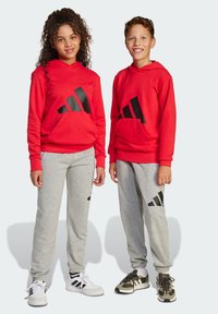 Спортивные штаны Спортивные штаны