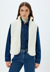 Пуховой жилет Пуховой жилет