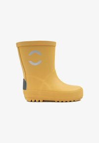 Резиновые сапоги Резиновые сапоги