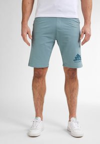 Шорты Шорты