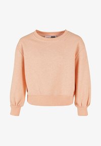 Толстовка Толстовка