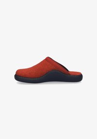 Шлепанцы Шлепанцы