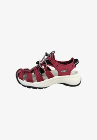 Шлепанцы Шлепанцы