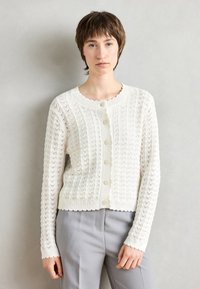 Твинсет Твинсет