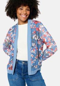 Блейзер Блейзер