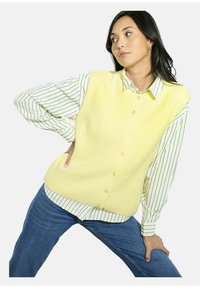 Жилет Жилет