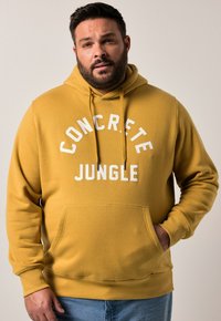 Толстовка Толстовка