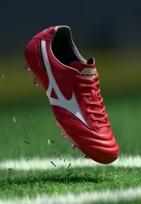 Футбольные бутсы Футбольные бутсы