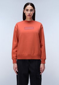 Толстовка Толстовка