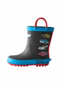 Резиновые сапоги Резиновые сапоги