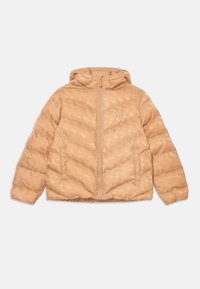 Зимняя куртка Зимняя куртка