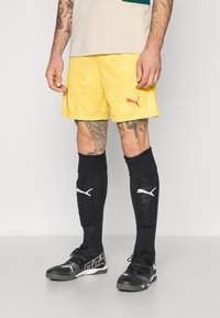 Шорты Шорты