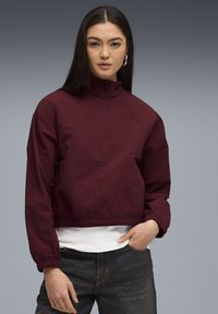 Толстовка Толстовка