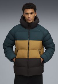 Зимняя куртка Зимняя куртка