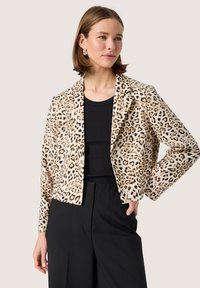 Блейзер Блейзер