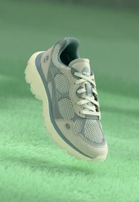 Сникерсы Сникерсы