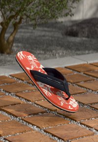 Вьетнамки Вьетнамки