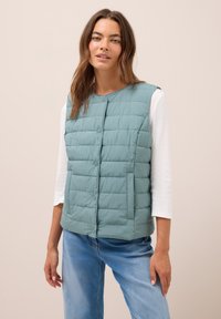 Жилет Жилет