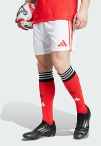 Шорты Шорты