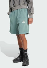 Бермуды Бермуды