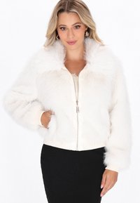 Зимняя куртка Зимняя куртка