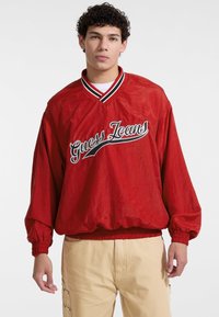 Толстовка Толстовка