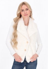 Жилет Жилет