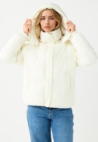 Зимняя куртка Зимняя куртка