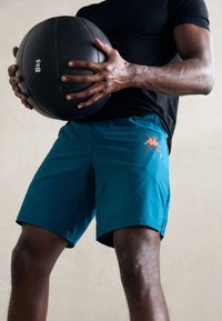 Шорты Шорты