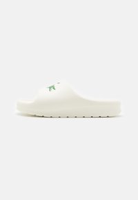 Шлепанцы Шлепанцы