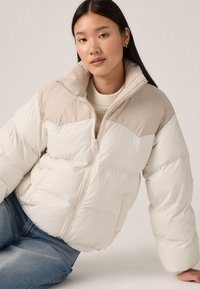 Зимняя куртка Зимняя куртка