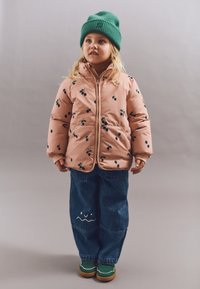 Зимняя куртка Зимняя куртка