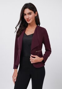 Блейзер Блейзер