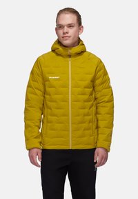 Зимняя куртка Зимняя куртка