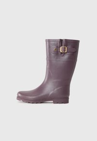 Резиновые сапоги Резиновые сапоги