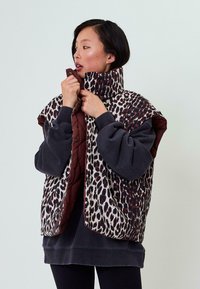 Жилет Жилет