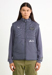 Жилет Жилет