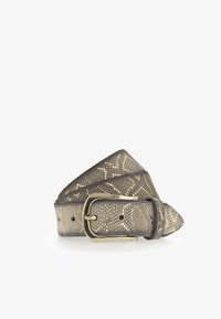 Ремень Ремень