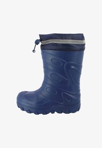 Резиновые сапоги Резиновые сапоги