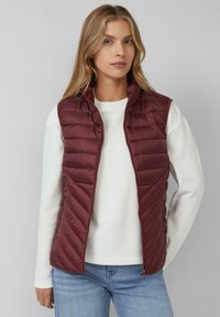 Жилет Жилет