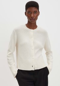 Жилет Жилет