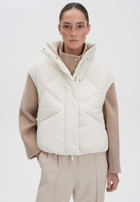 Пуховой жилет Пуховой жилет