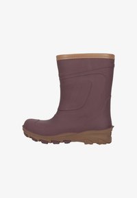 Резиновые сапоги Резиновые сапоги